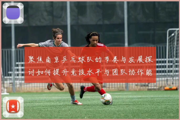 聚焦南京乒乓球队的节奏与发展探讨如何提升竞技水平与团队协作能力