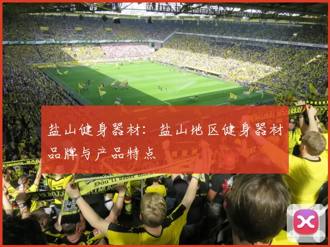 盐山健身器材：盐山地区健身器材品牌与产品特点