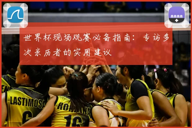 世界杯现场观赛必备指南：专访多次亲历者的实用建议
