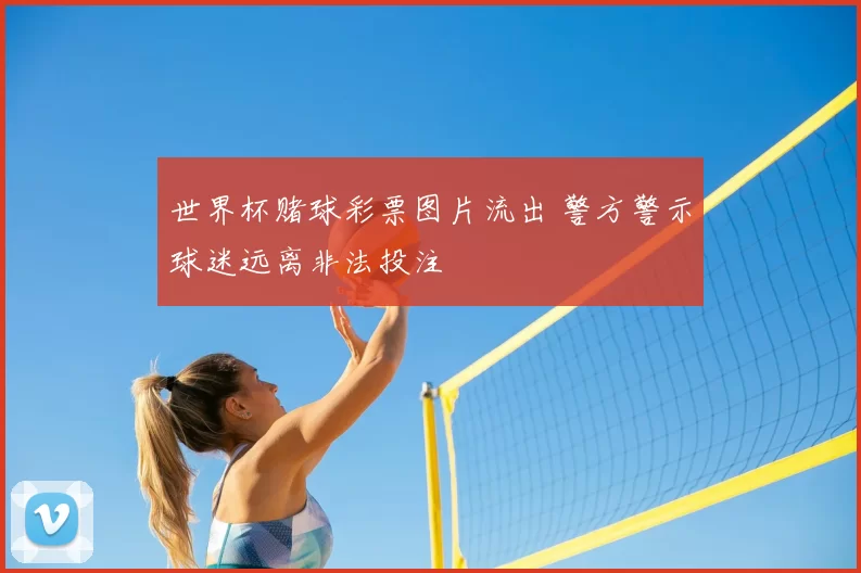 世界杯赌球彩票图片流出 警方警示球迷远离非法投注
