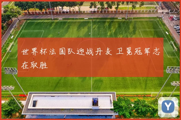 世界杯法国队迎战丹麦 卫冕冠军志在取胜