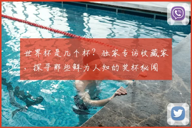 世界杯是几个杯？独家专访收藏家，探寻那些鲜为人知的奖杯秘闻