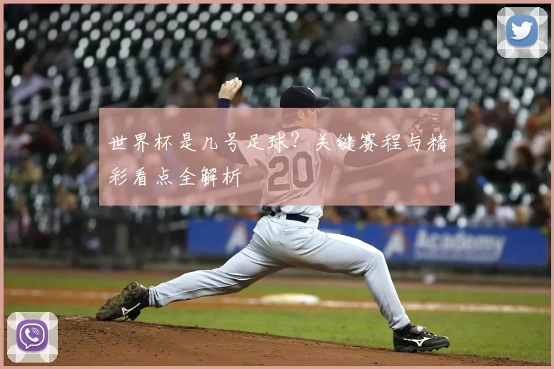 世界杯是几号足球？关键赛程与精彩看点全解析