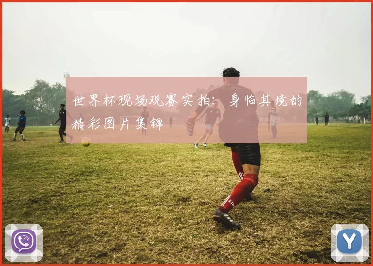 世界杯现场观赛实拍:身临其境的精彩图片集锦