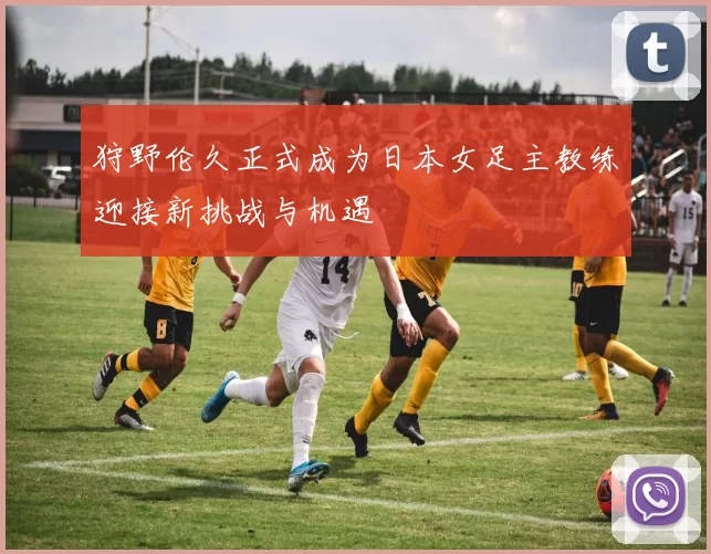 狩野伦久正式成为日本女足主教练迎接新挑战与机遇