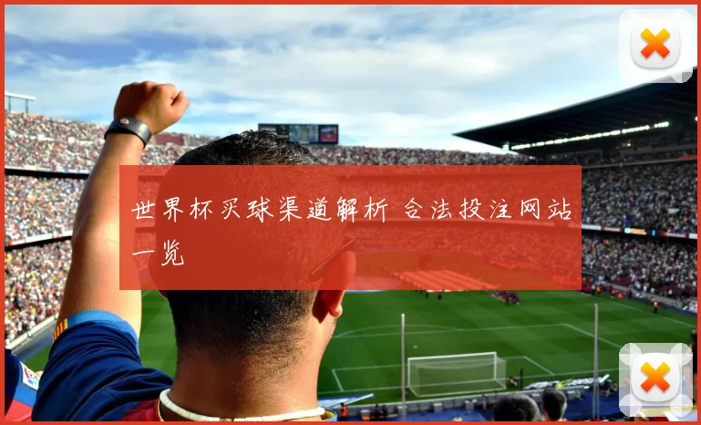 世界杯买球渠道解析 合法投注网站一览