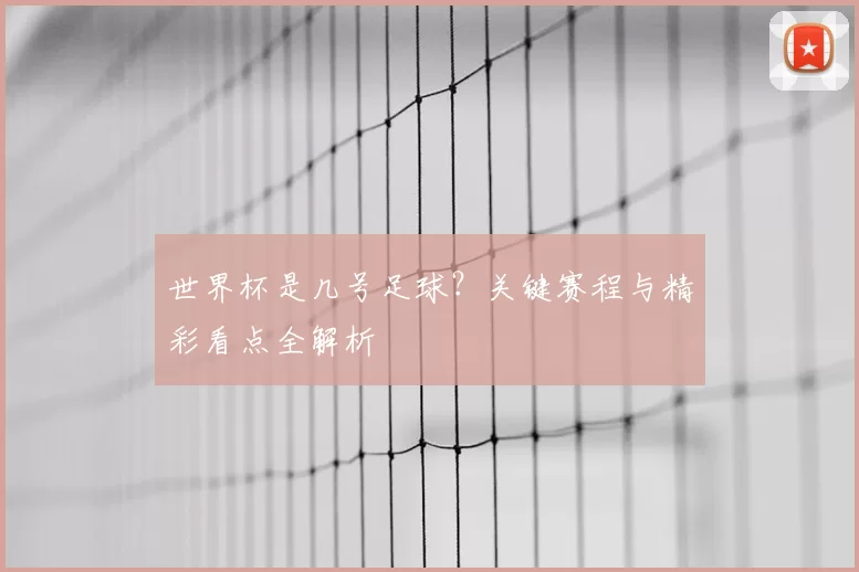 世界杯是几号足球？关键赛程与精彩看点全解析